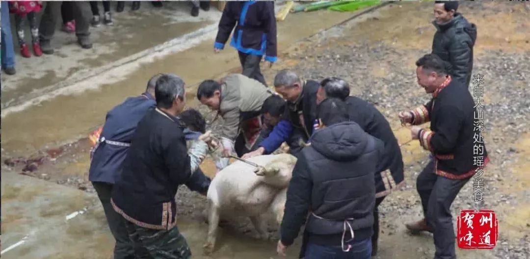 寻找地道广西美食,正宗瑶族美食视频