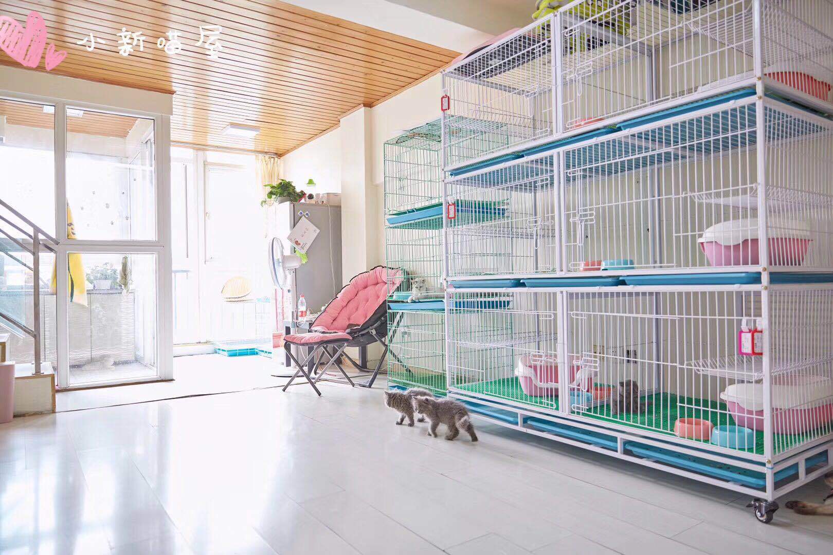 怎样避免买到星期猫,怎么判断是不是买到了星期猫