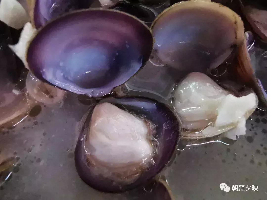 新会石板沙最好的地方,江门石板沙村旅游介绍