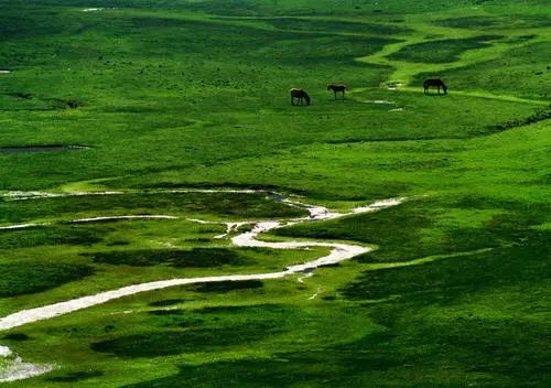 昆明五一周边旅游推荐,昆明周边五一好去处