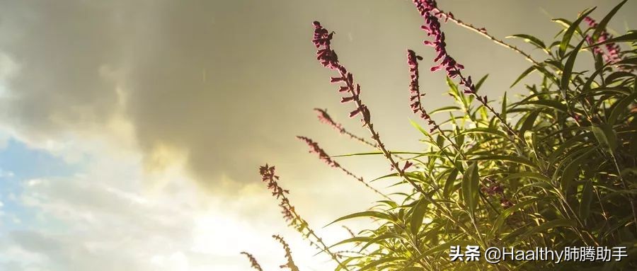 走过弯路吃过亏而成功,被误诊吃了很多药现在症状不好