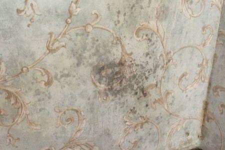 修复墙面返潮脱落发霉起皮,墙面返潮发霉长青苔两大原因