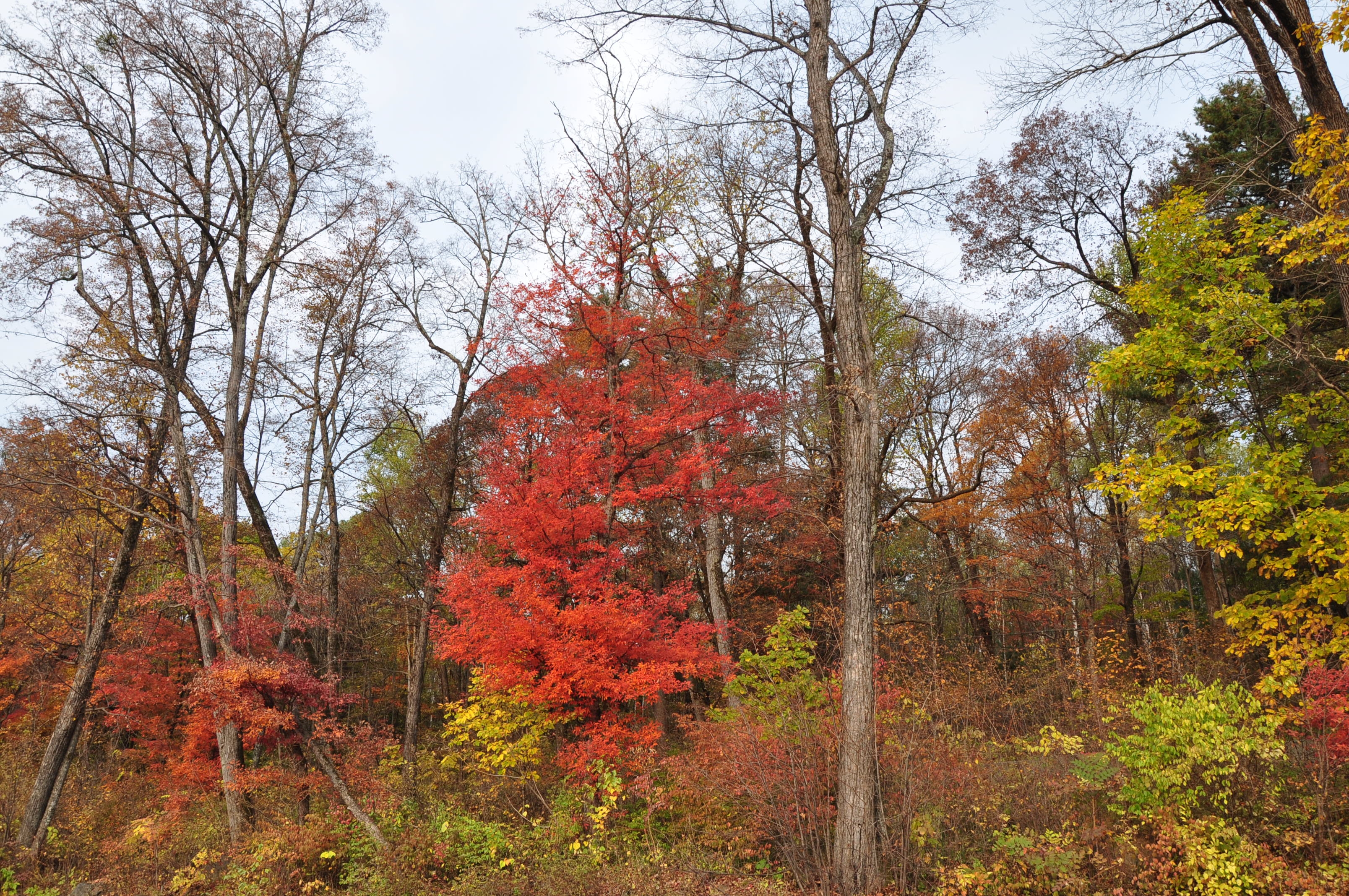 自驾西北行游记,我的西北边境自驾旅行日记