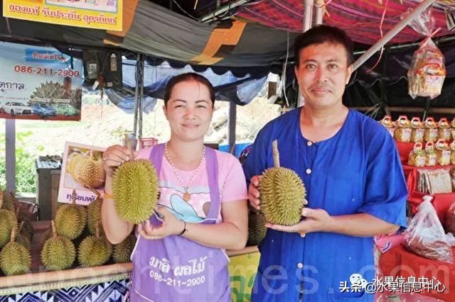 泰国最好的榴莲是什么榴莲,泰国榴莲与越南榴莲