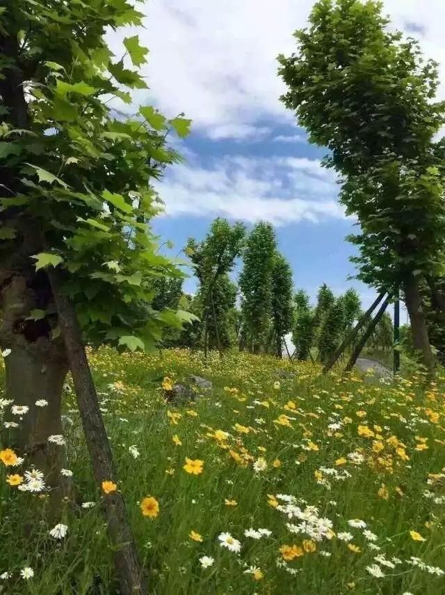 顺丰汪勇之生死之外获得多少奖金,顺丰小哥汪勇连升3级