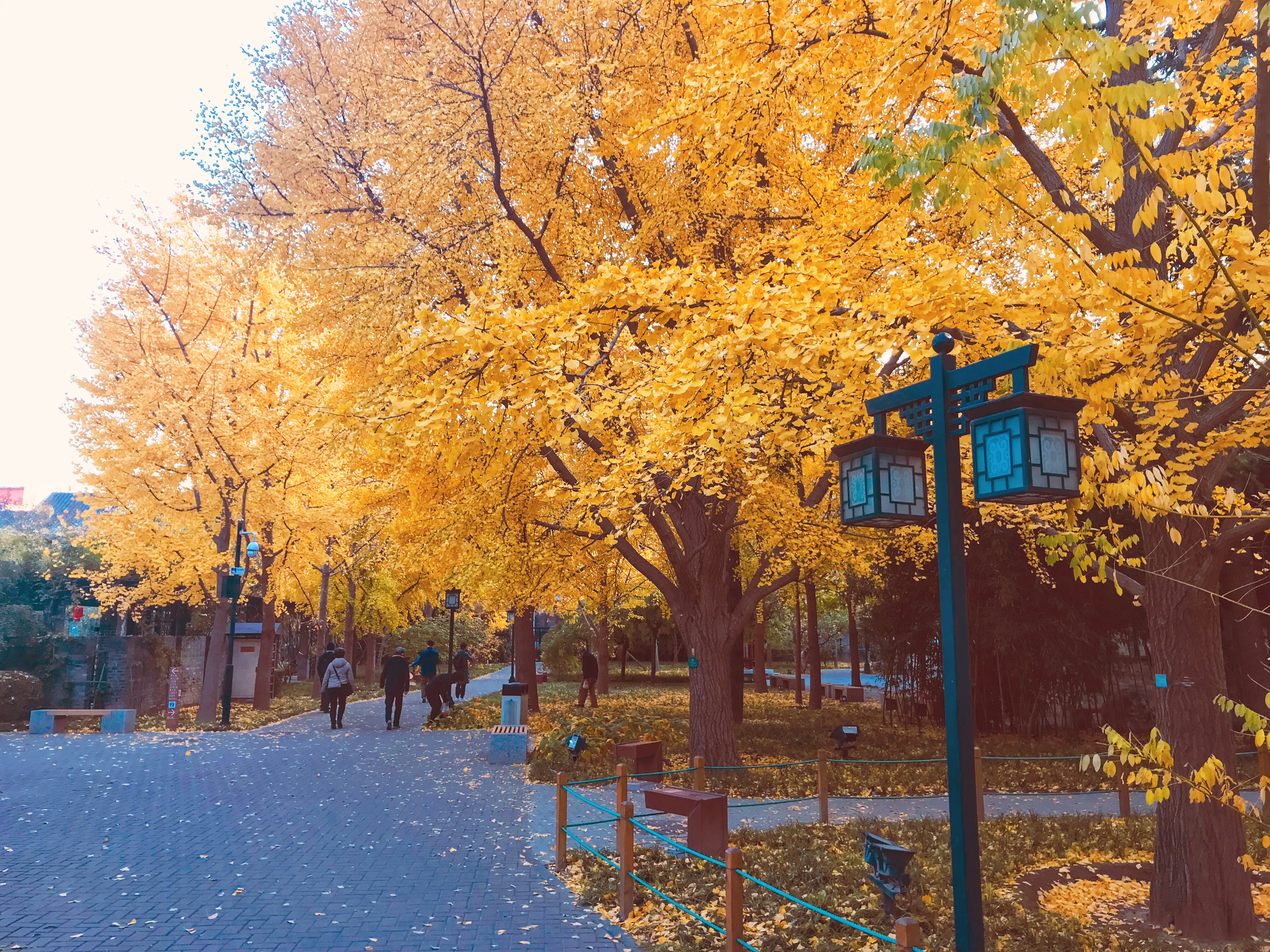 皓哥带你逛南京探店小达人,皓哥带你逛南京