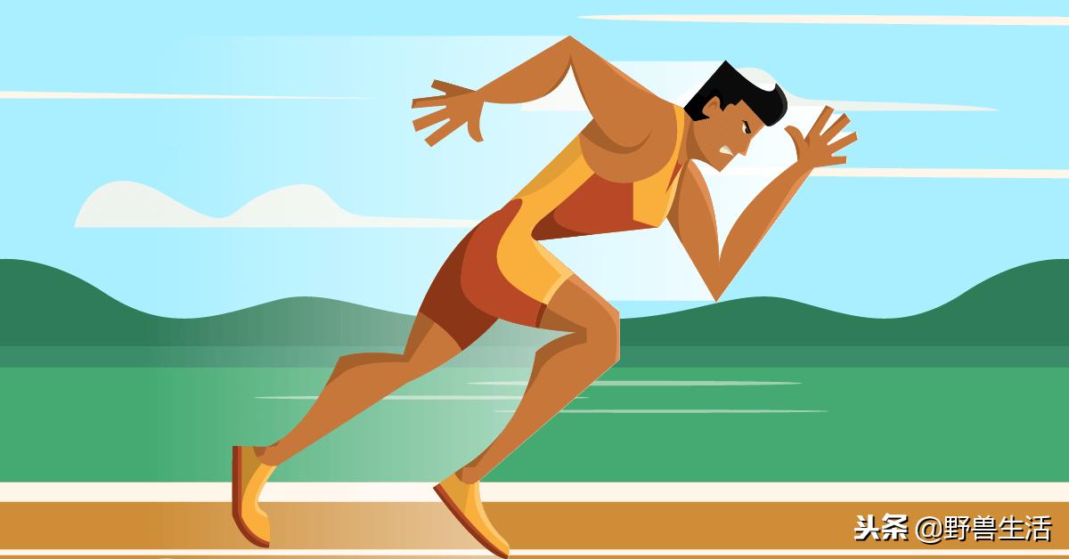 猪肝可以补充哪种维生素,猪肝千万别生吃