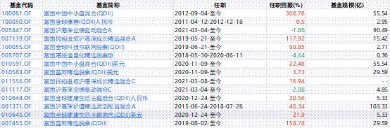 富国全球消费精选混合qdii亮点,富国全球消费精选混合012060
