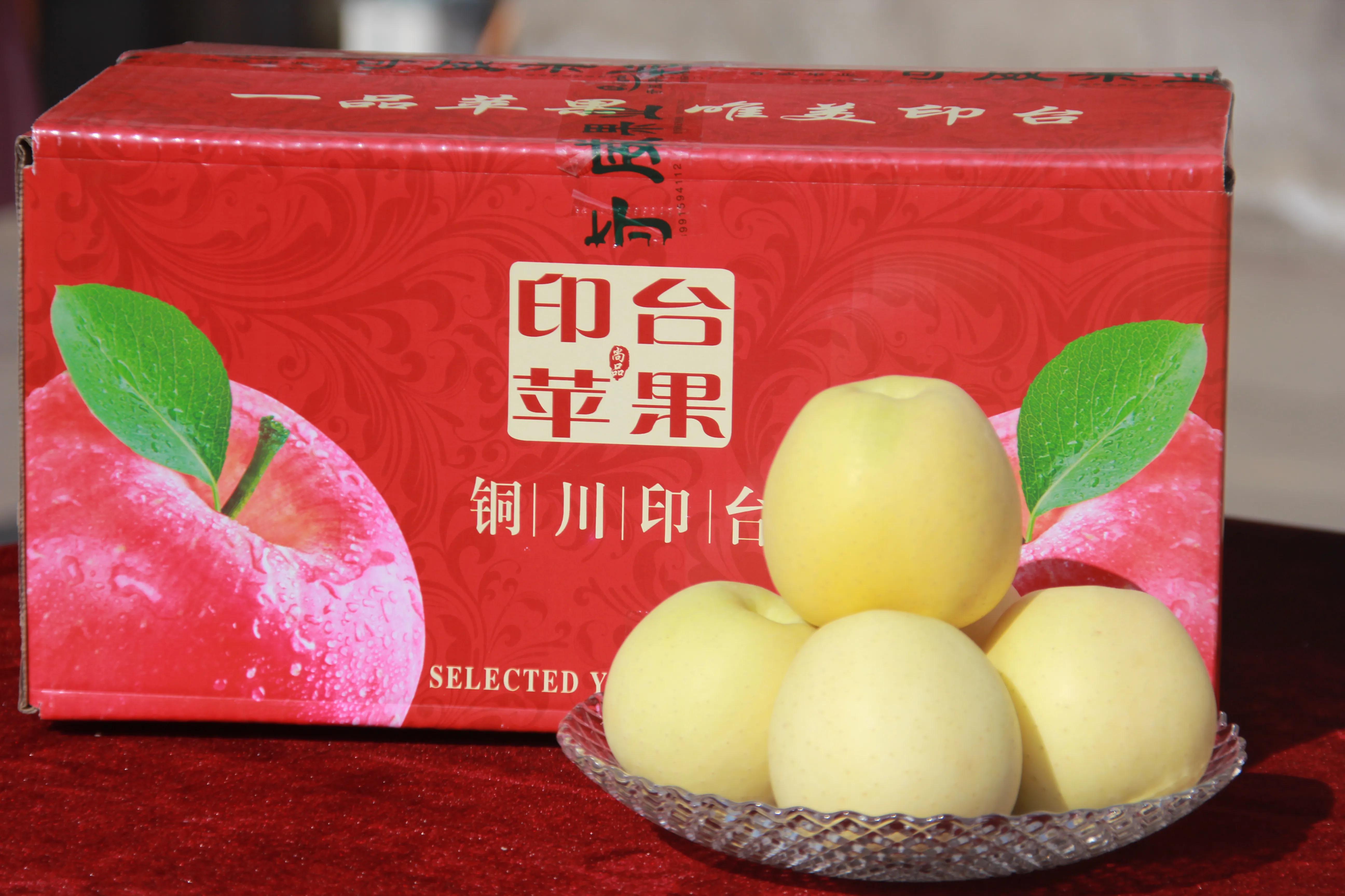 一品苹果·唯美印台，陕西果业产区行走进铜川印台区苹果优生区