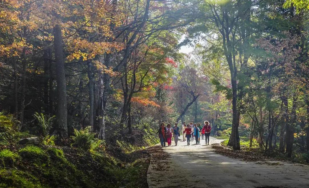 旅游景点畅玩团购,景点游玩优惠团购