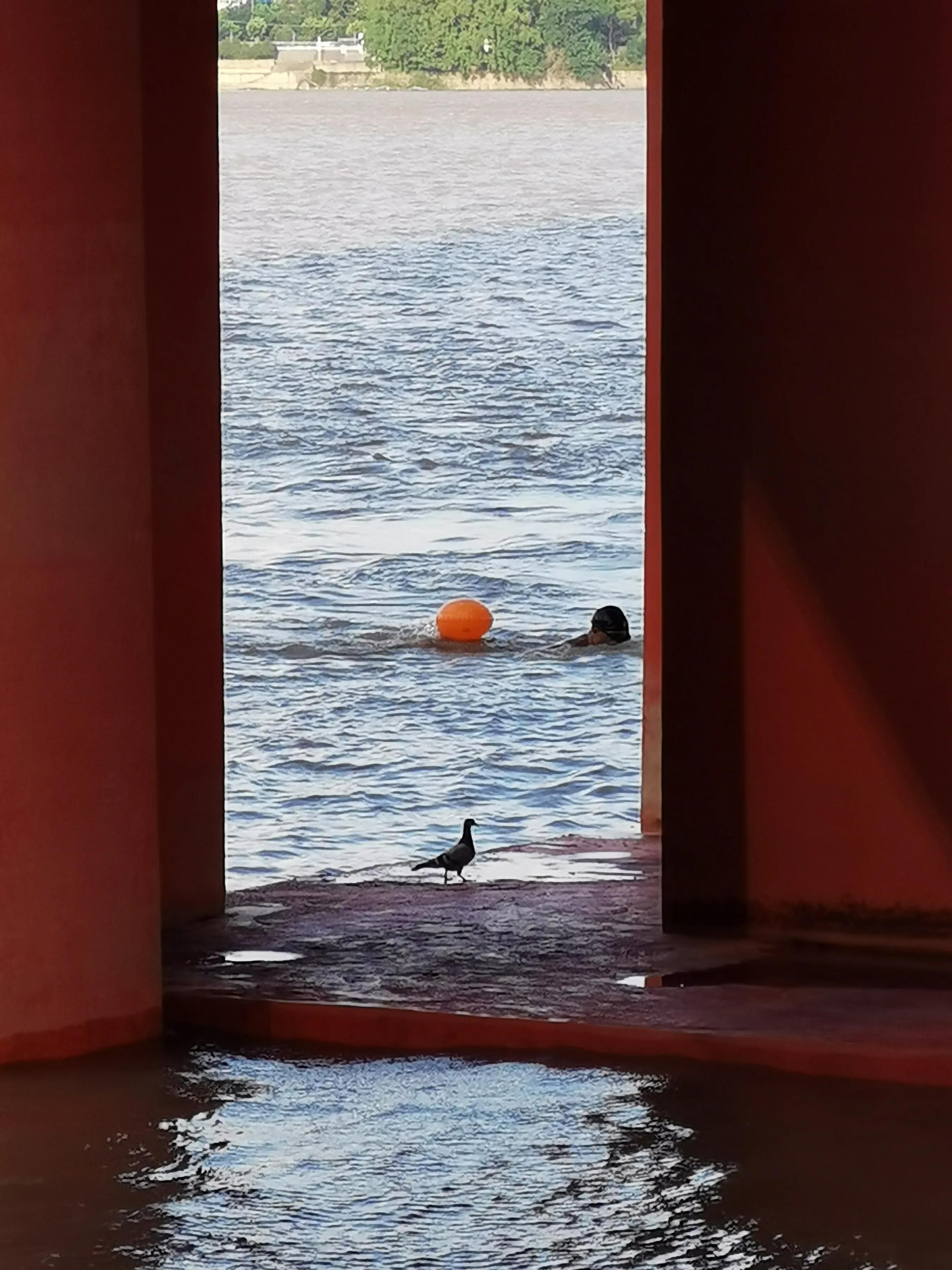 手机摄影手册圈友作品选第5期,手拍世界摄影交流平台