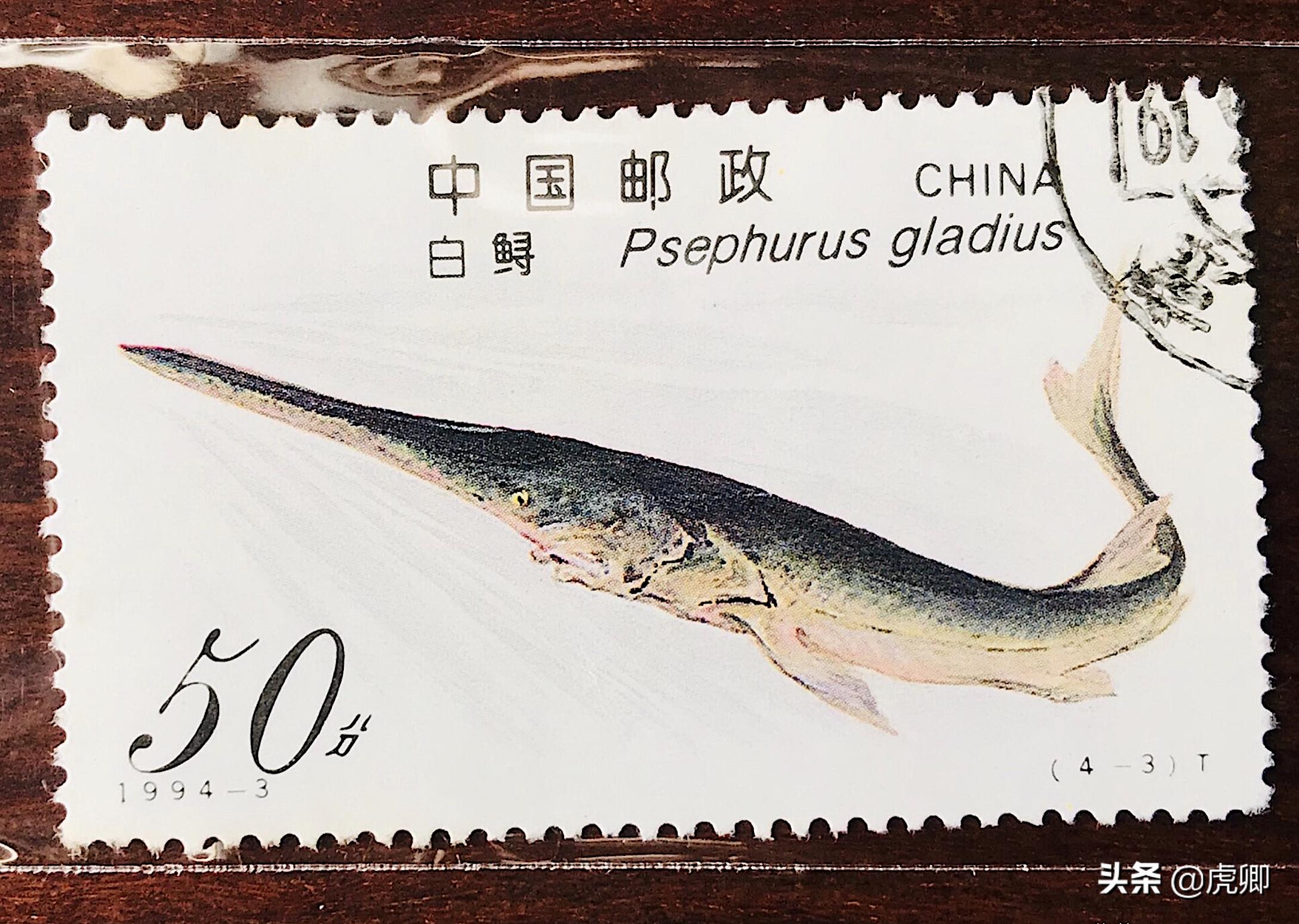 鲟鳇鱼国家保护动物吗,鲟鳇鱼国家保护