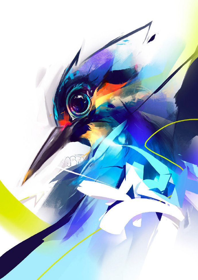 好看可爱又简单的动物眼睛插画,黑白和彩色强烈对比的插画