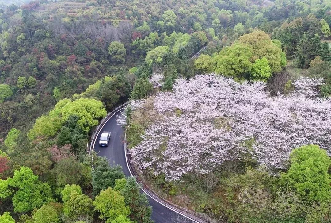 比厦门安静的海滨城市,比厦门安静10倍