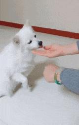 开心一刻gif搞笑动图,搞笑gif段子看起来能量满满