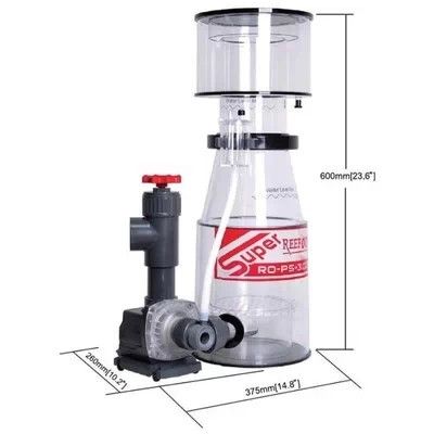 如何开始养珊瑚,新手养珊瑚方法