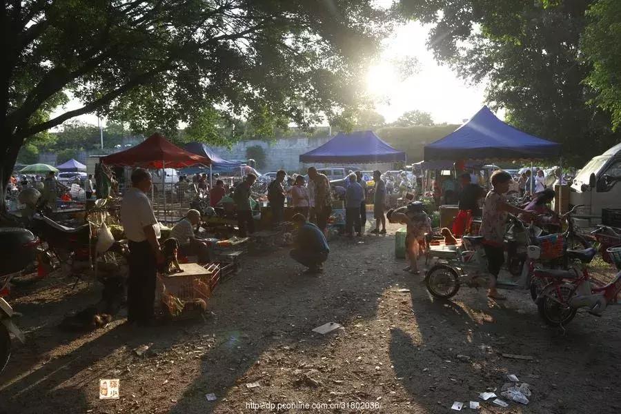 罗定农村人山人海,罗定人山人海