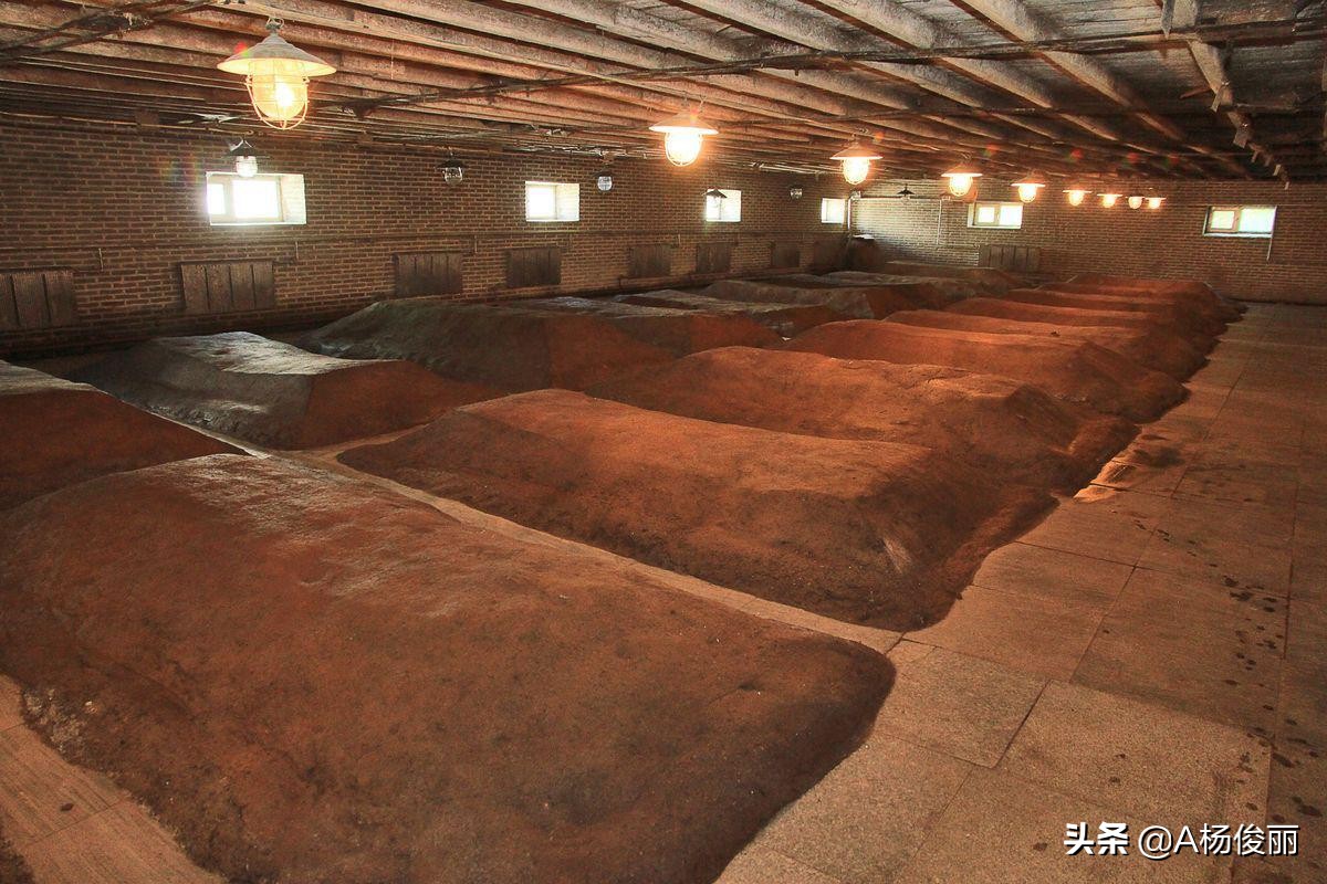 真全粮酿酒教学直播,真全粮酿酒原料配方