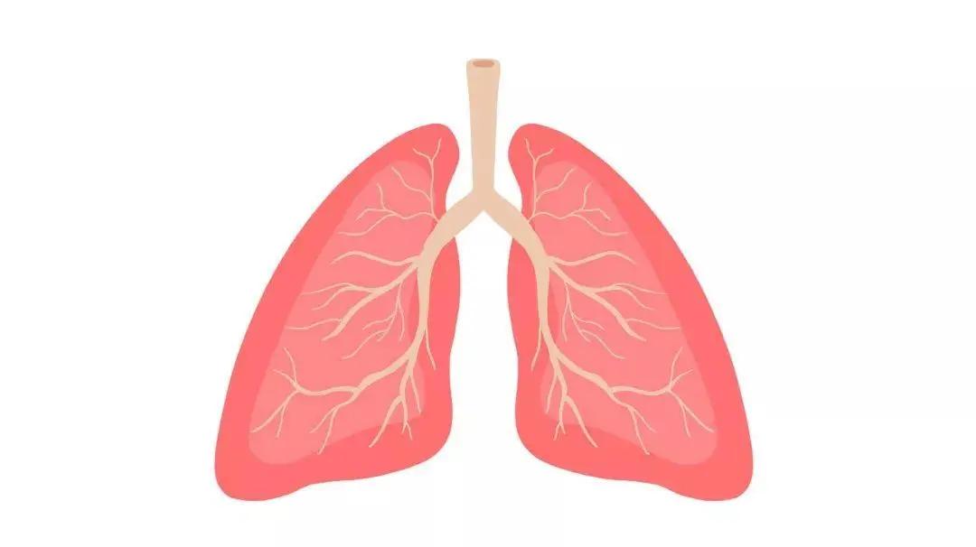 肺心病怎样保护心脏,肺心病患者秋季的养生关键