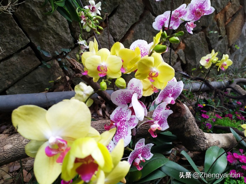 福州鼓山风景区大门,福州于山风景区开放时间最新消息