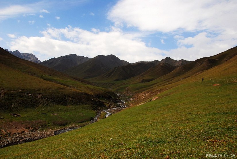 狼c调简谱教唱,狼c