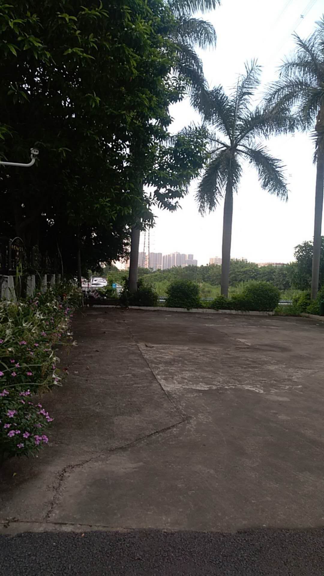 东莞市广利建筑工程有限公司,东莞广利纸品厂