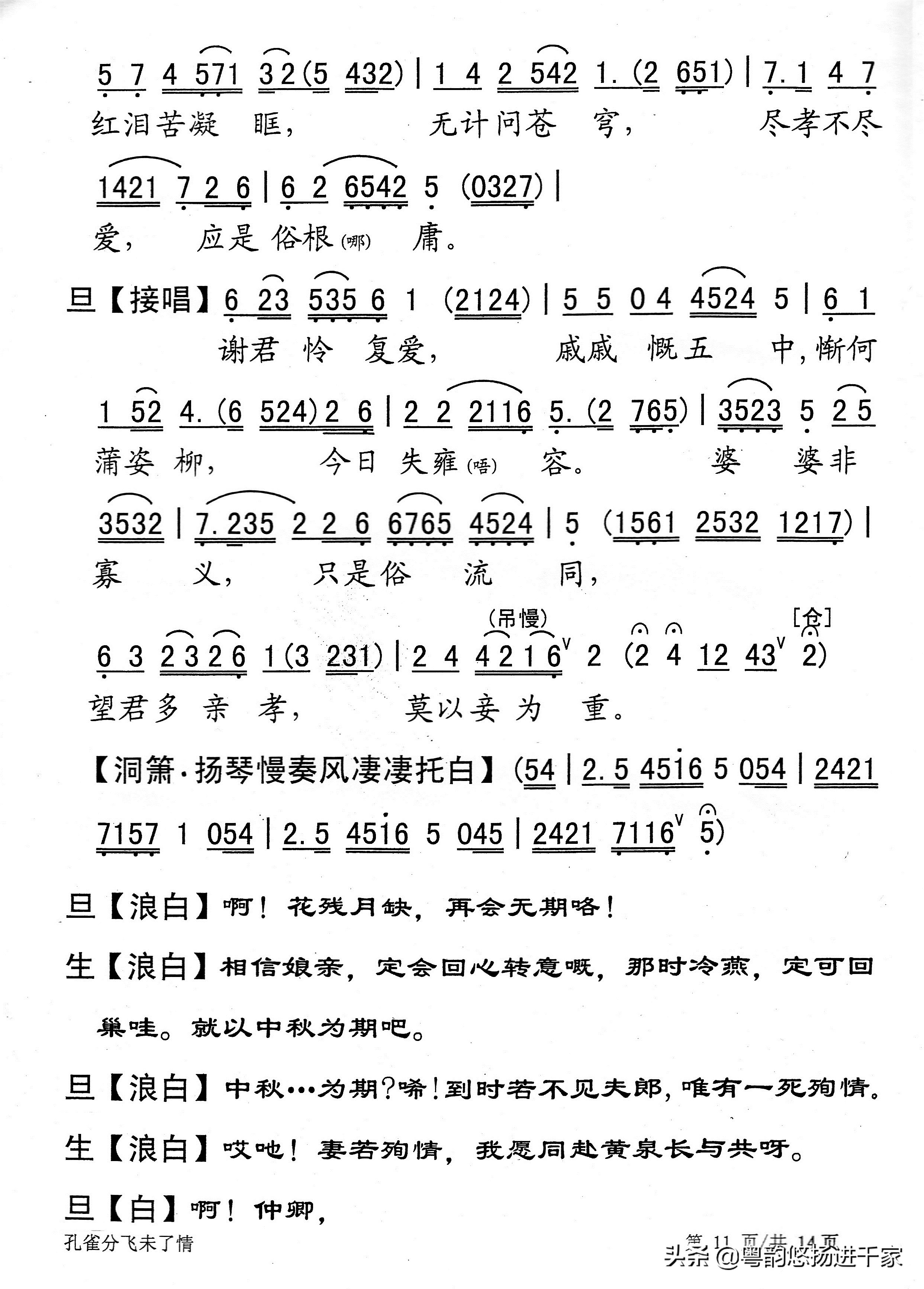 封建礼教下的悲剧—粤曲《孔雀分飞未了情》原唱音频与简谱