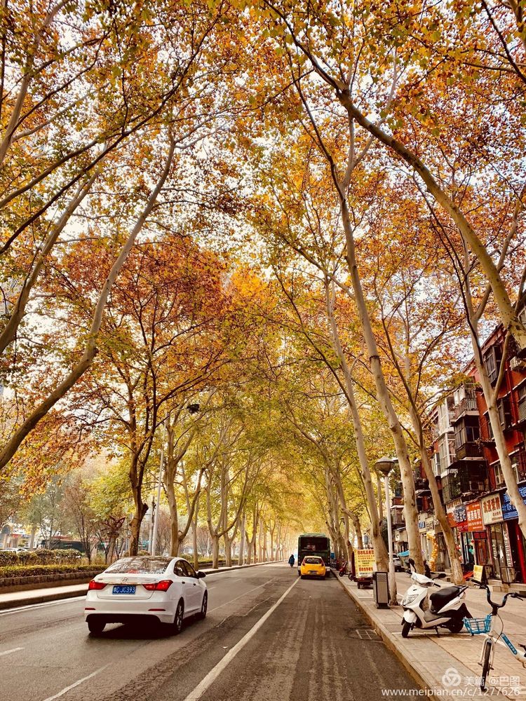 洛阳晚报作品,洛阳晚报2020年