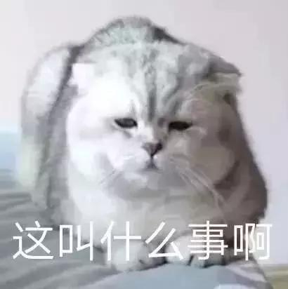 直男审美被吐槽上热搜,直男对女生的吐槽