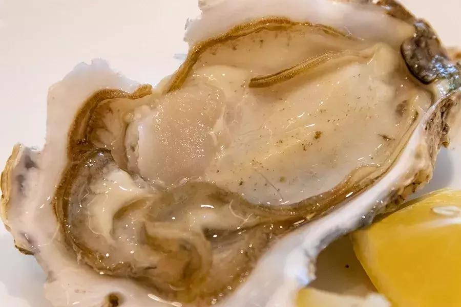 上海多伦多海鲜自助,上海自助海鲜餐厅排行榜第一名