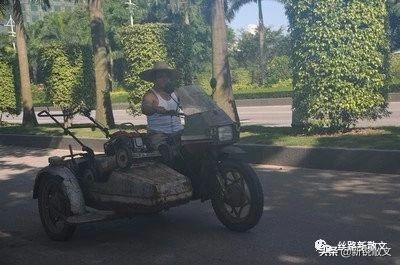 玩家老卢：山鸡从小抓来，加以特殊训练，成为山鸡里的“甫志高”