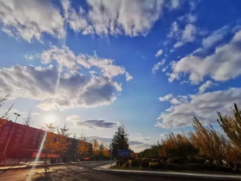 辽宁中医药大学杏林学院独立学院,辽宁中医药大学三个校区
