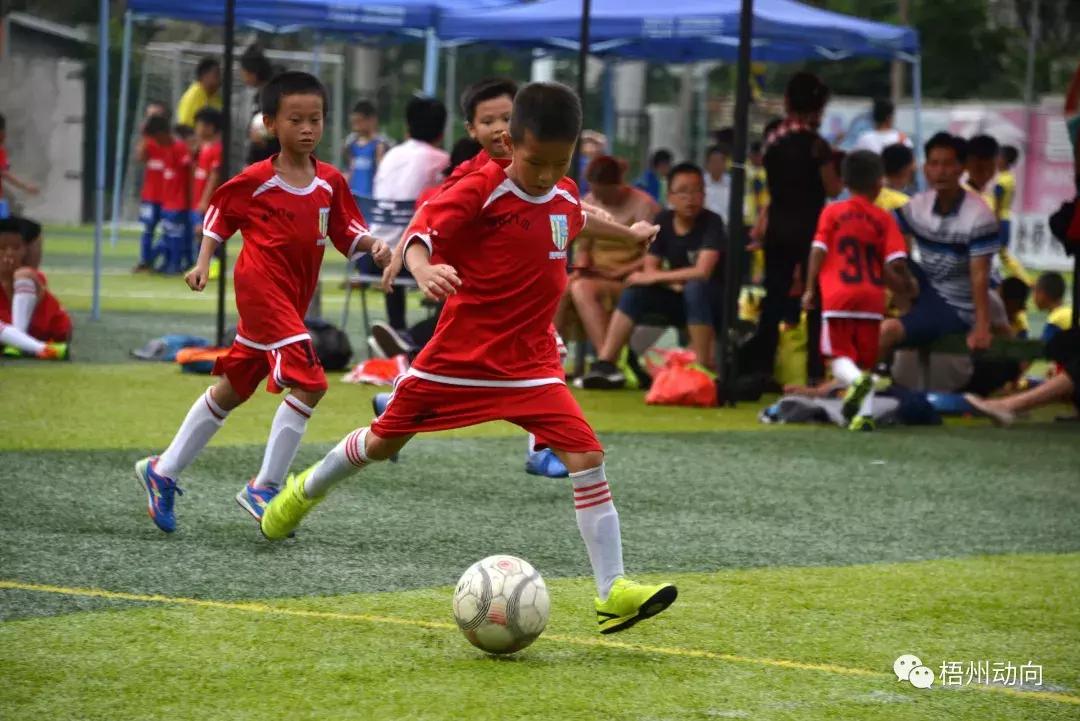 足球训练营公益,足球带给孩子们更多的快乐和成长