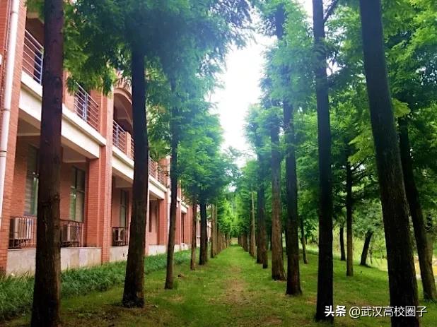全武汉只有这所大学校门上跑火车，以前嫌弃现在却又舍不得