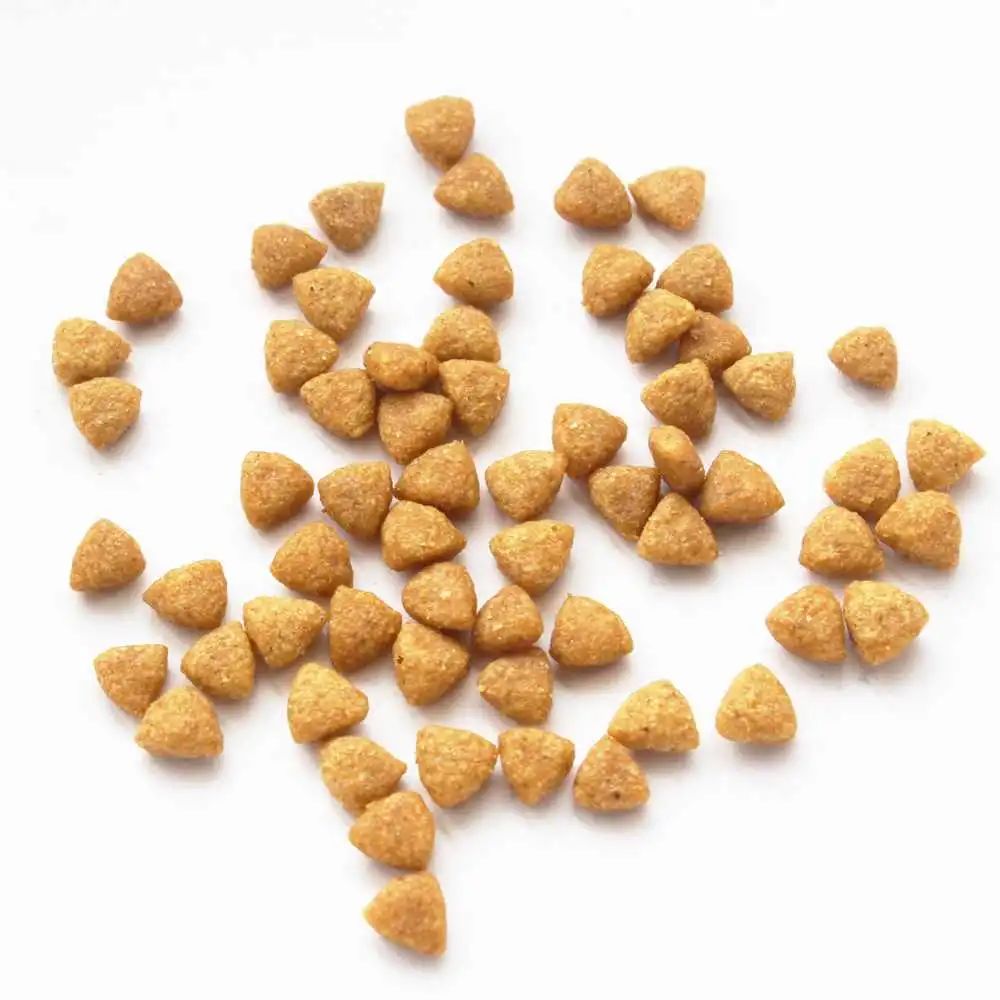 养小猫攻略,养2个月小猫攻略