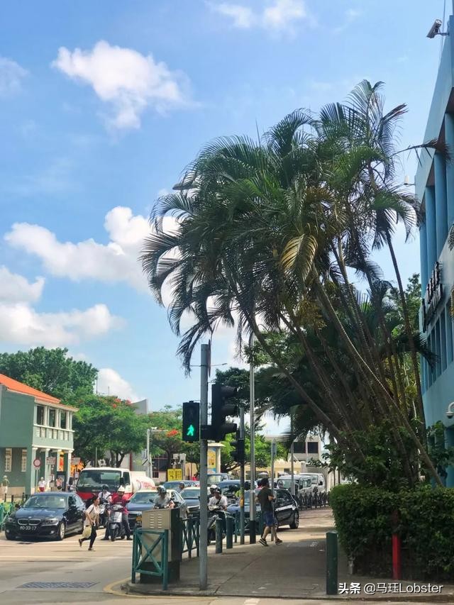 澳门当地人吃的蛋挞,在澳门吃着蛋挞超开心