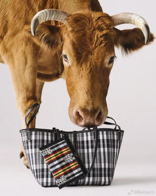 鍥藉澶х墝鐨勪腑鍥介,澶栧浗澶х墝鐨勪腑鍥介