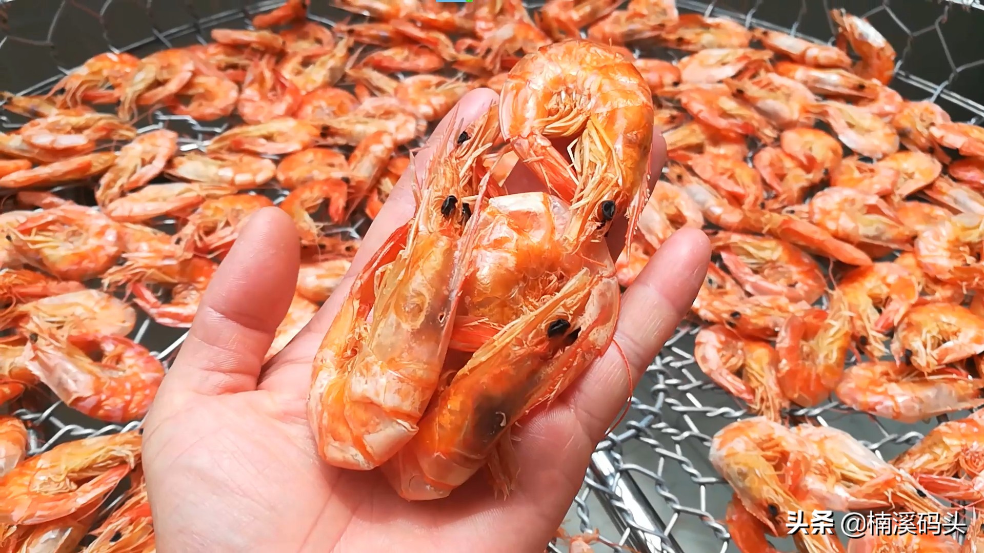 温州海鲜批发市场哪里买最便宜,温州水产海鲜批发市场都卖什么