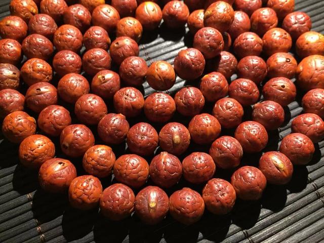 菩提凤眼菩提,金刚菩提对比凤眼菩提