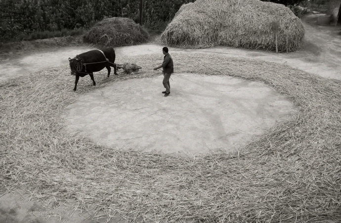 涔″湡鏁ｆ枃,涔″湡鏁ｆ枃杩囧勾