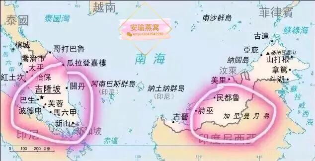 马来西亚和印尼的燕窝价格,马来西亚和印尼的燕窝对比