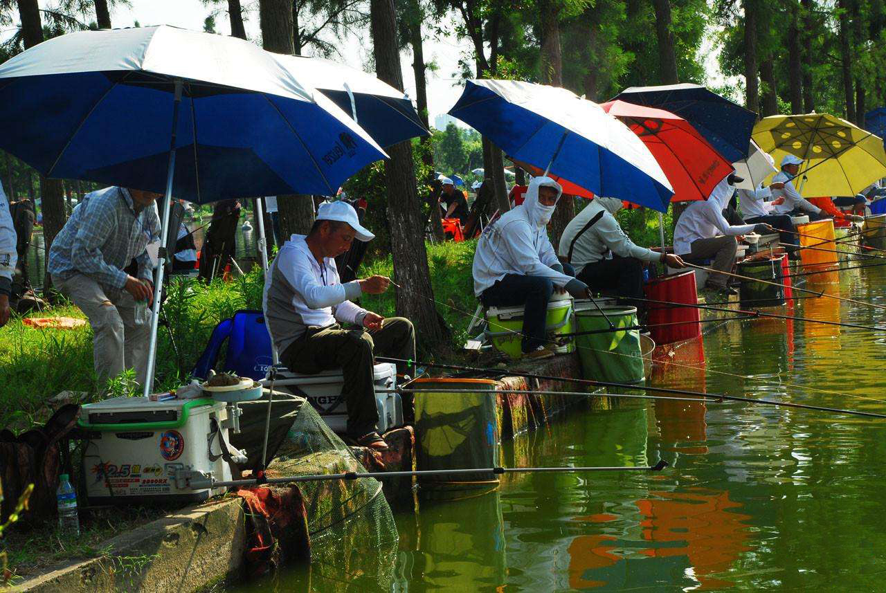 鱼塘和黑坑哪个好钓,不是黑坑鱼塘叫什么鱼塘