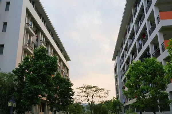 惠州卫生职业学院2019专科分数线,惠州卫生职业技术学院提前批分数