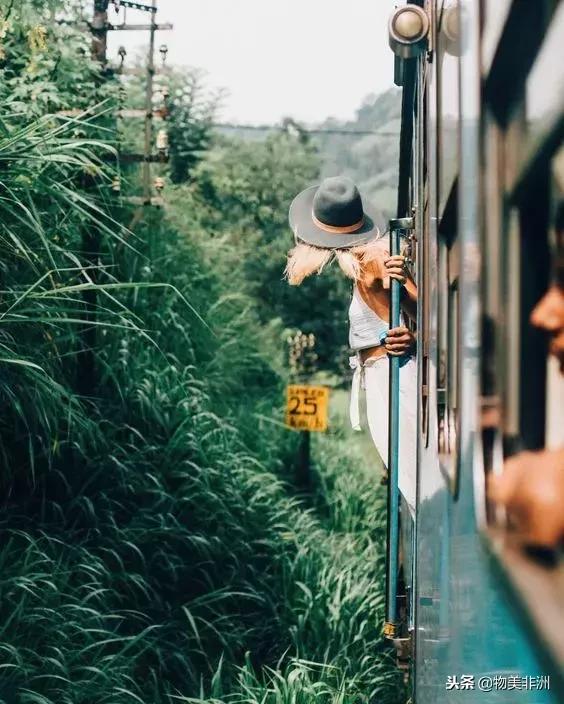 去了非洲才知道，人类才只是这个世界的过路者