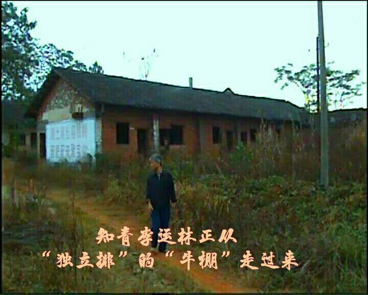 难以释怀的知青情结,60年代的知青情结