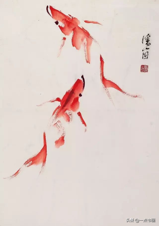 池中之仙，惊艳若此——锦鲤