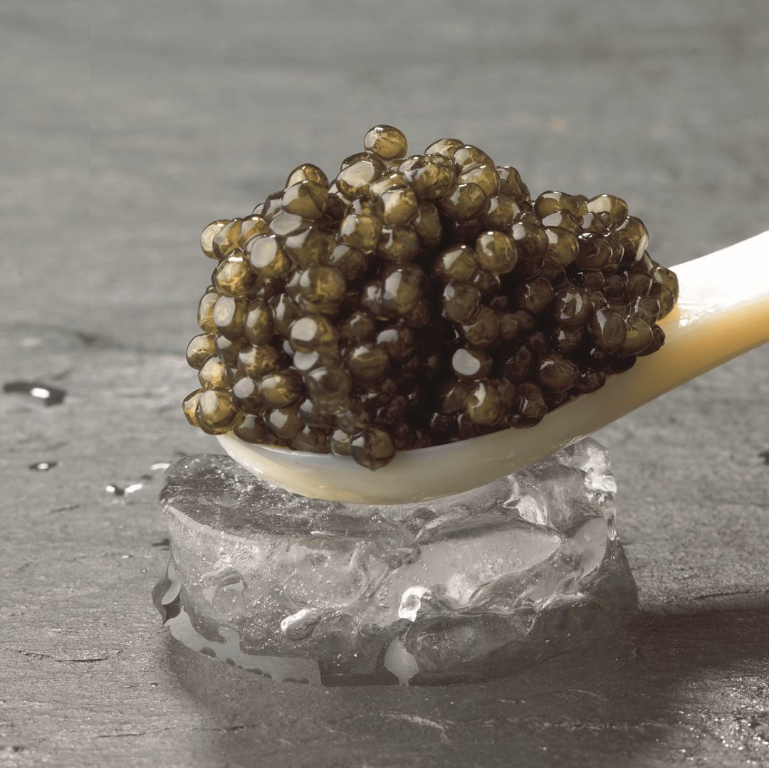 鱼子酱冷知识大全,世界三大珍馐鱼子酱制作方法