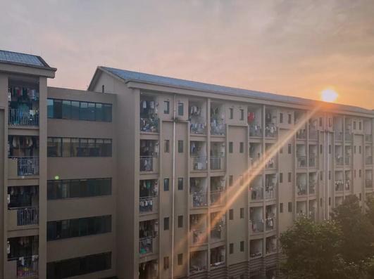 神秘的重庆大学,神秘照片曝光