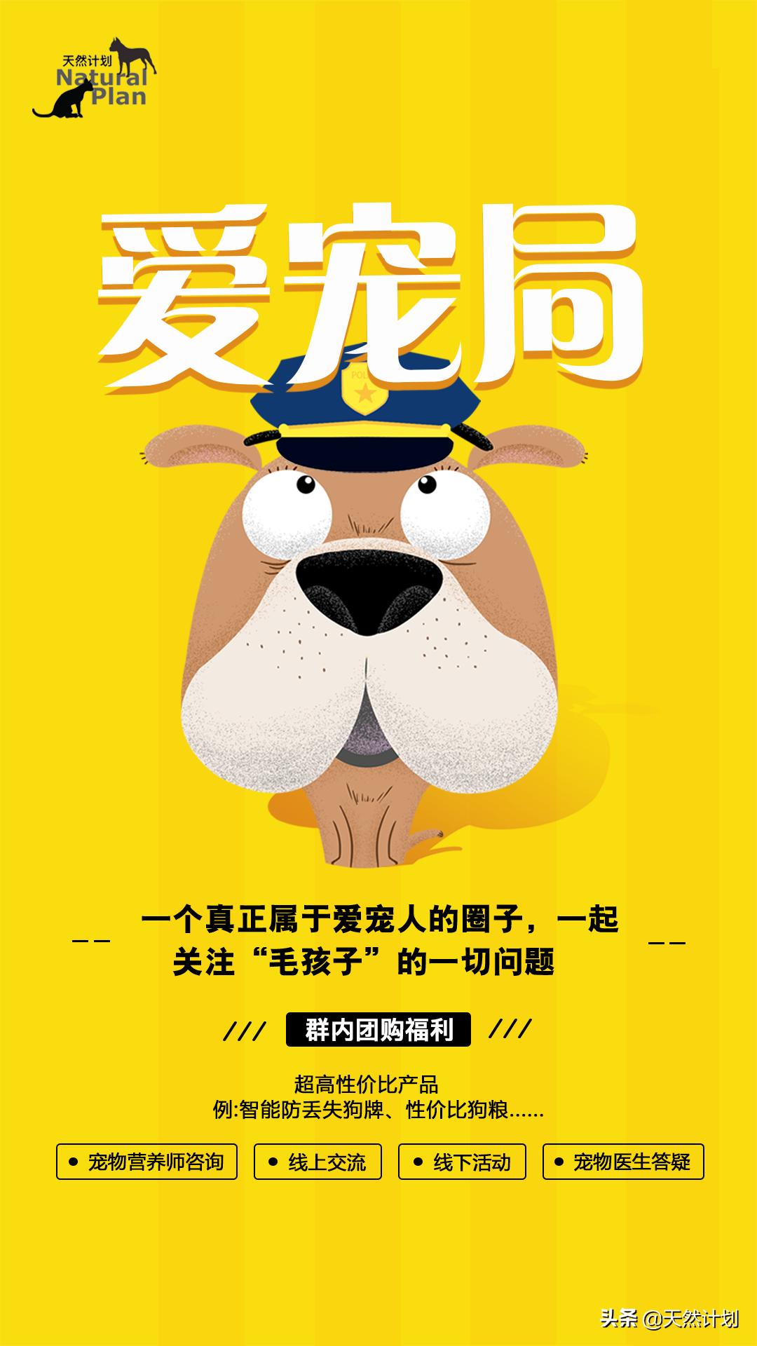 「技巧」宠物药浴的方法