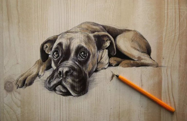 3d立体画写实彩铅,超写实彩铅手绘细腻的让人咋舌